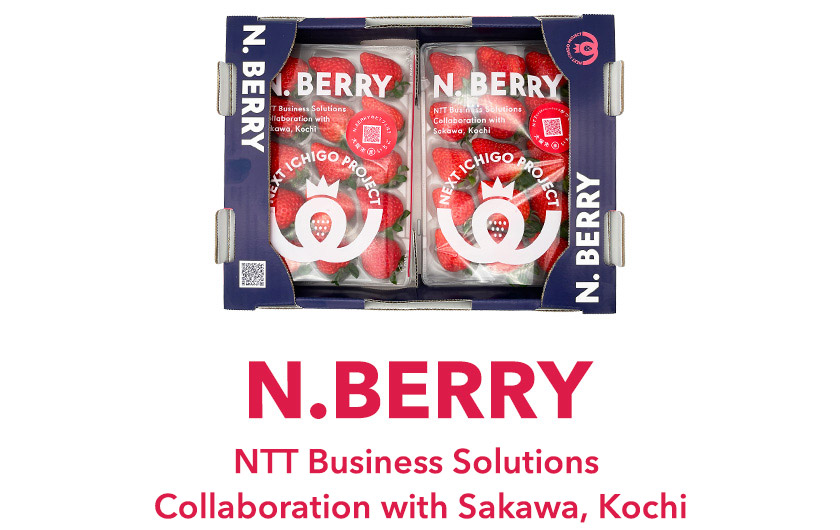 NTT Business Solutions
Collaboration with Sakawa, Koc